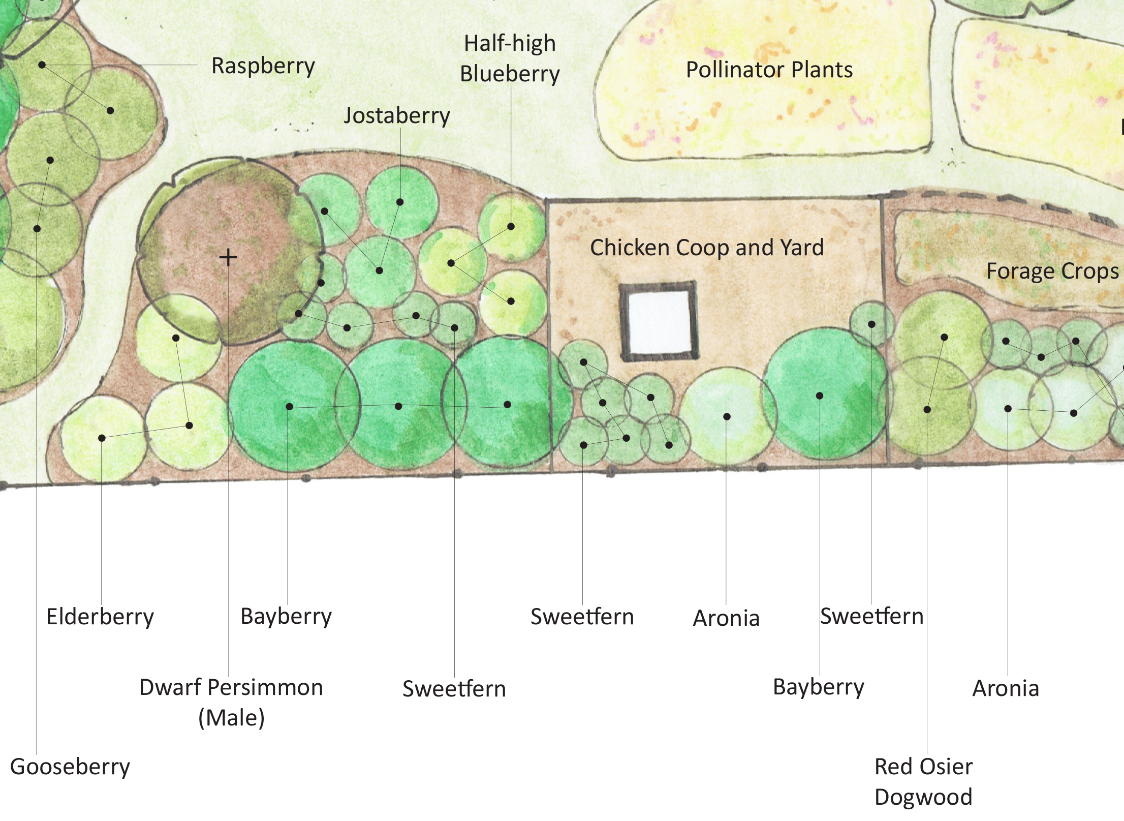 Montague Urban Homestead A Living