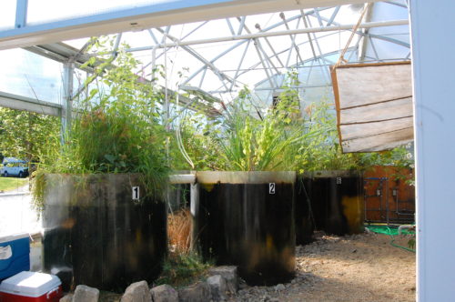 A Visit To The Living Systems Laboratory