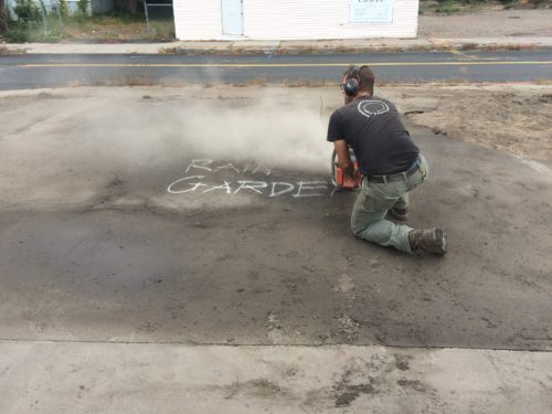 Asphalt To Asclepias: Springfield Rain Gardens