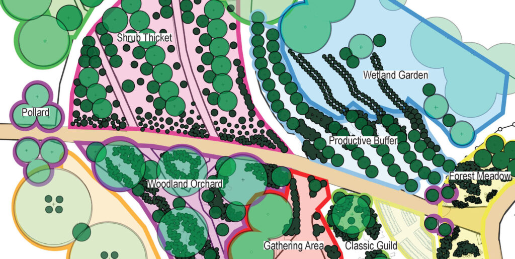 Detailed crop of the Edible Forest Garden schematic plan showing color-coded zones including Shrub Thicket, Wetland Garden, Productive Buffer, Woodland Orchard, Gathering Area, Classic Guild, Forest Meadow, and Pollard, with tree canopies represented as layered circles of varying sizes.