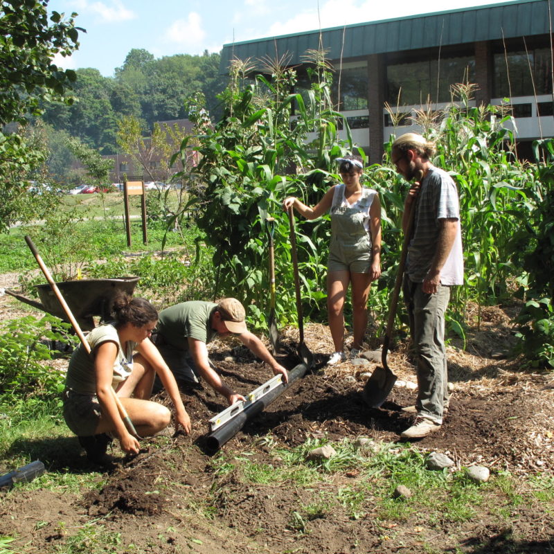 Students at UMASS Amherst have the opportunity to learn permaculture design through school gardens and a partnership with Regenerative Design Group. Here, Jono Neiger leads students in constructing a pond.