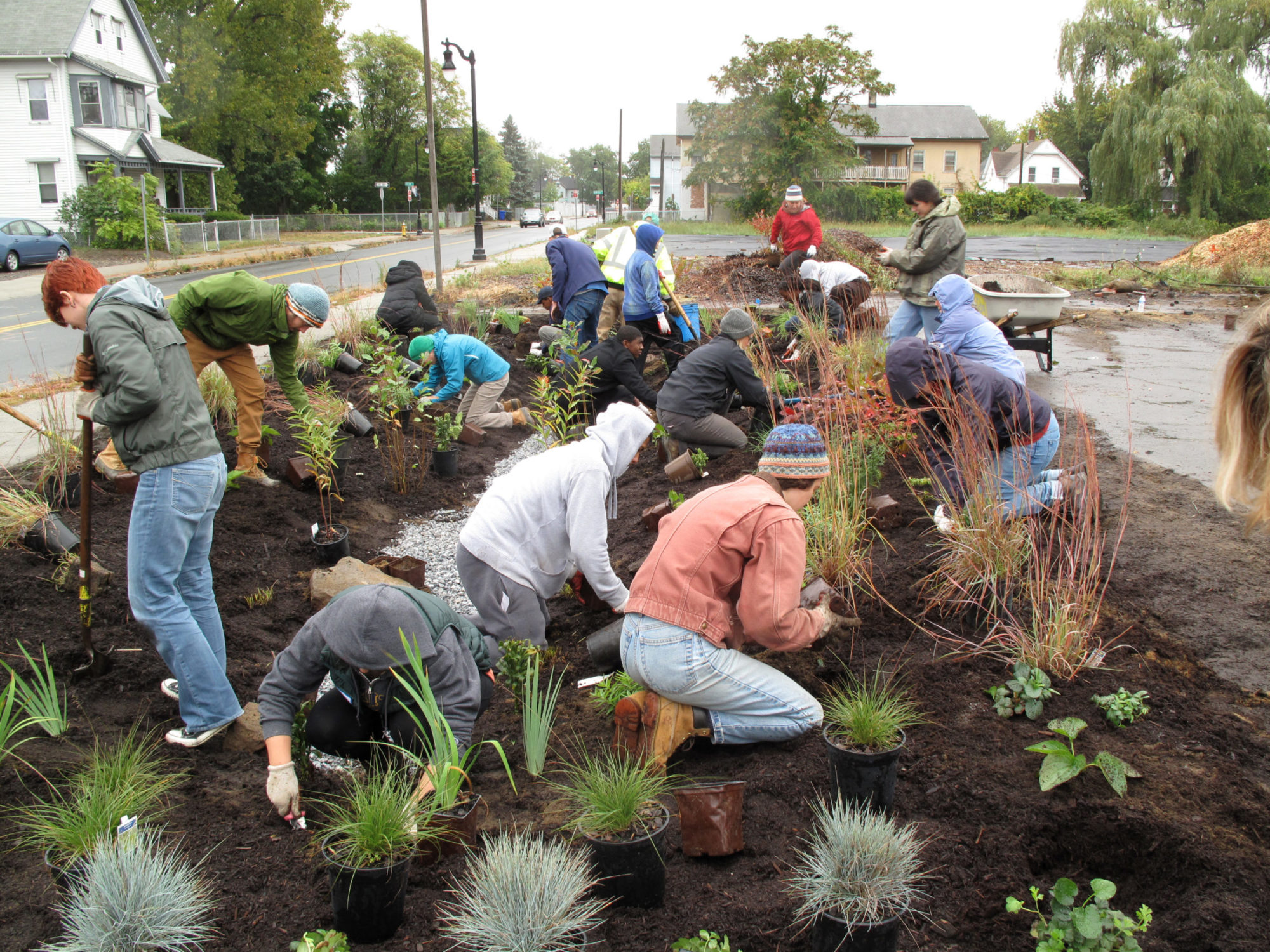 GTC_Raingarden Installation