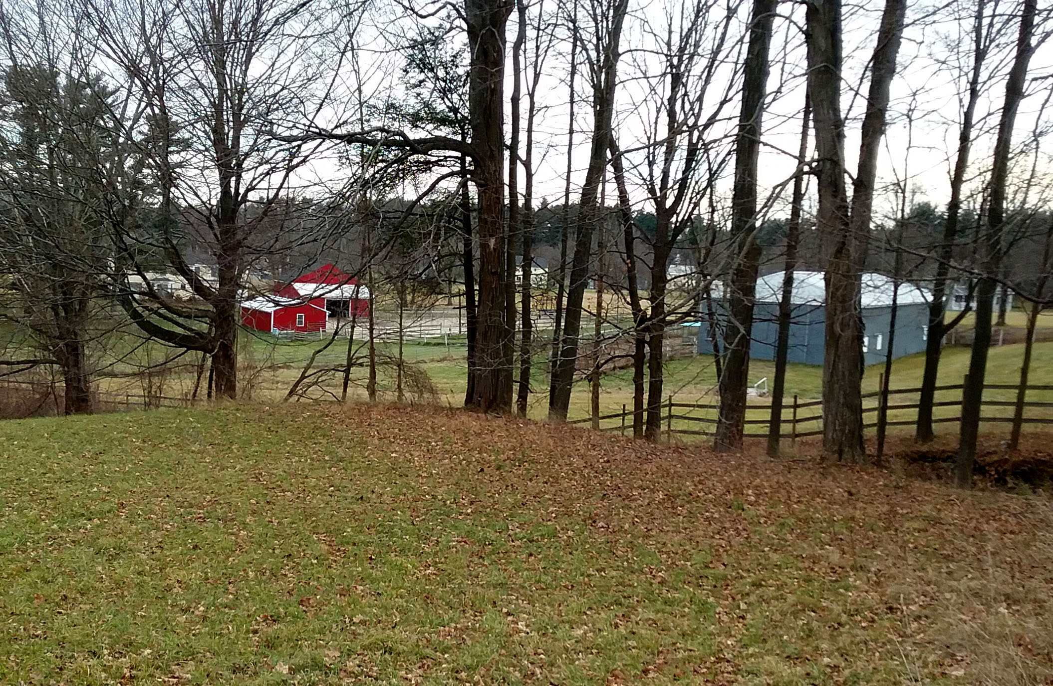 Red and blue barns form the backdrop of rolling farm fields.