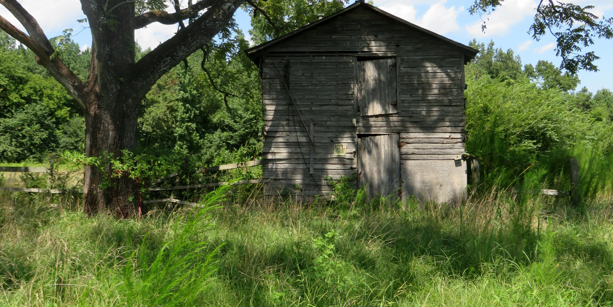 triangle land conservancy