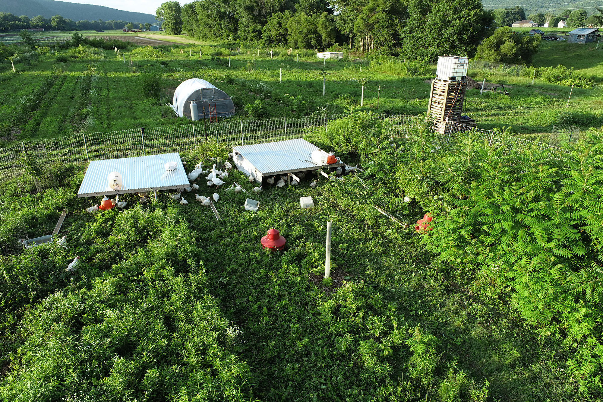 regenerative farm business plan