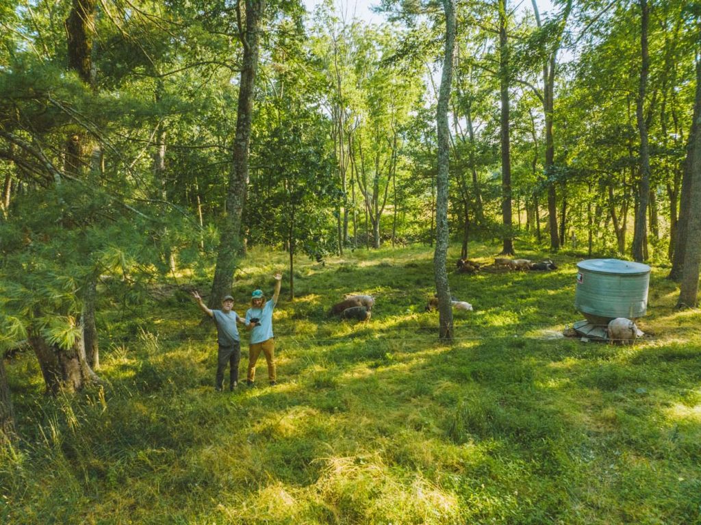 Blog Regenerative Design Group