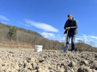 A man in a navy winter coat and jeans digging with a shovel in a barren winter field