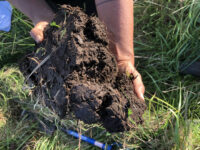 Hands holding up a large chunk of dense soil