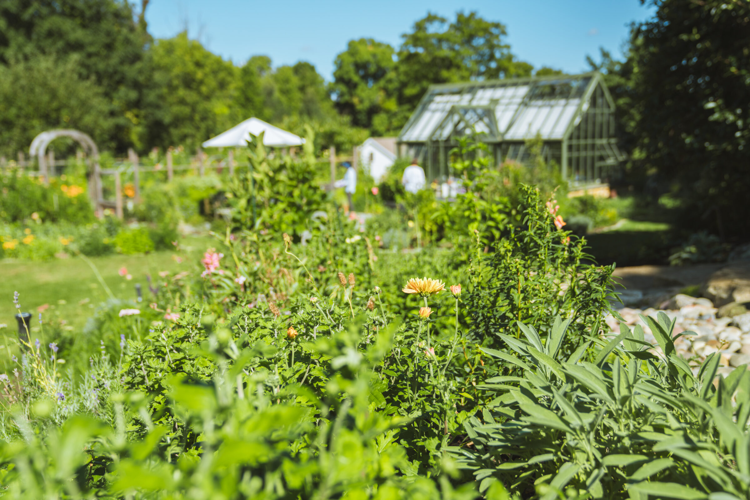 Regenerative Design Group: Project Spotlights in Agroecology