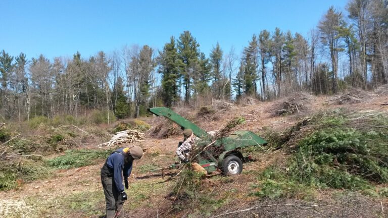 7. Layout + Field Prep