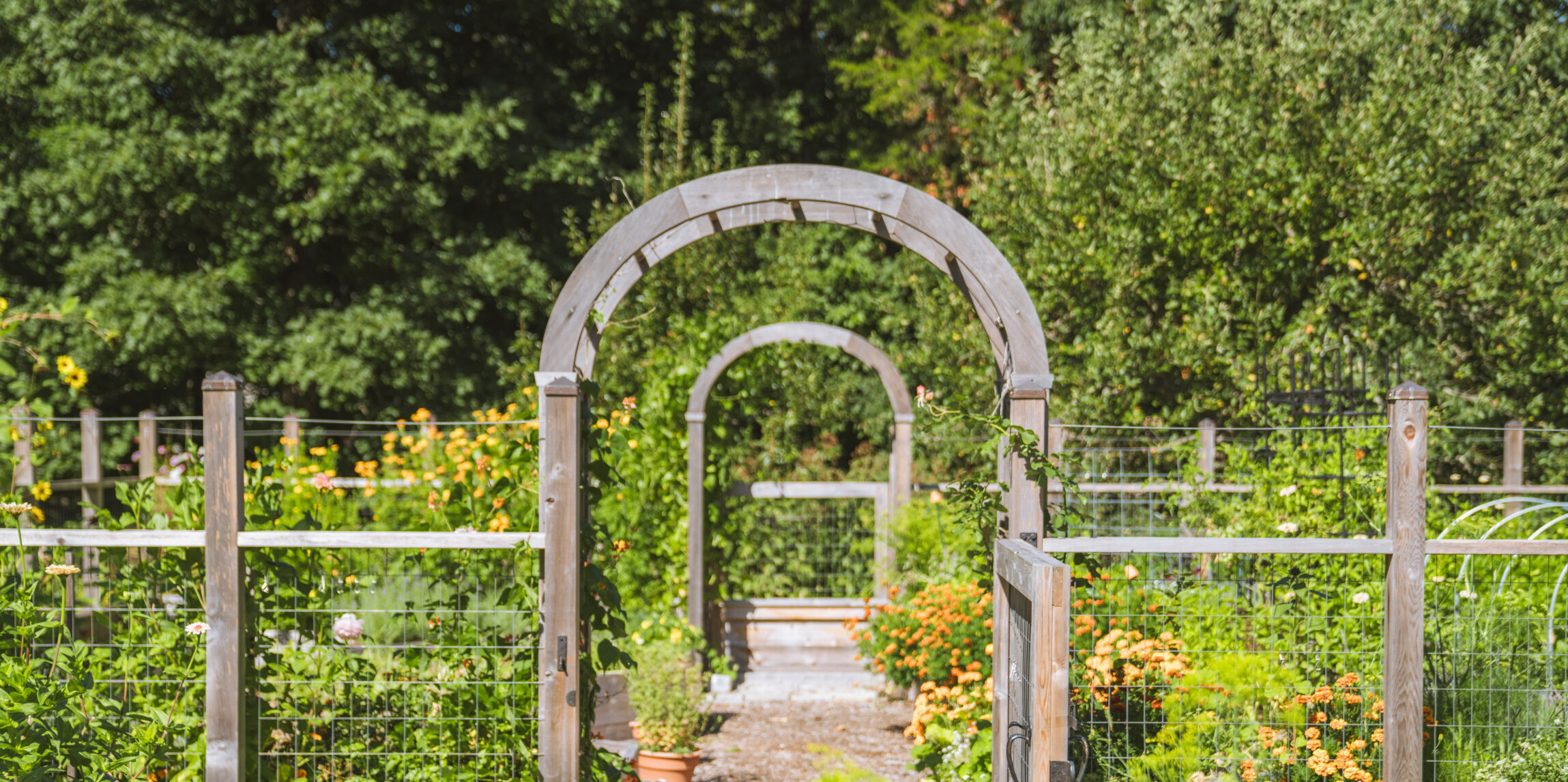 A Kitchen Garden in Weston