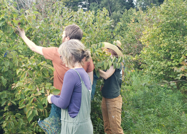 Voicing Concerns on the Impact of Federal Funding Freeze