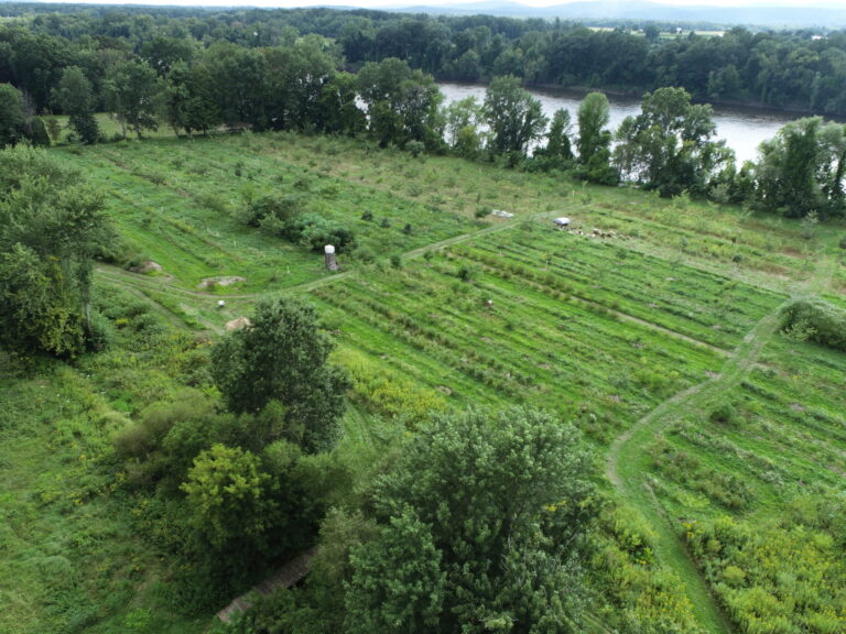 Expanding Agroforestry and Nut Crops in Massachusetts