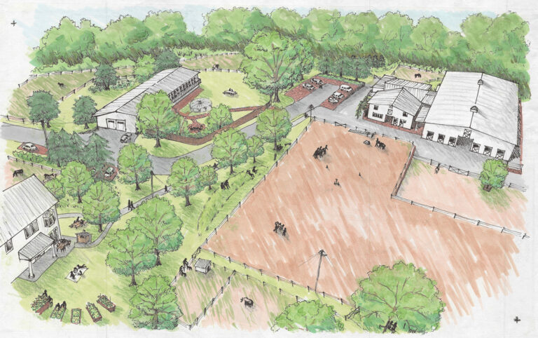 Pony Power Therapies