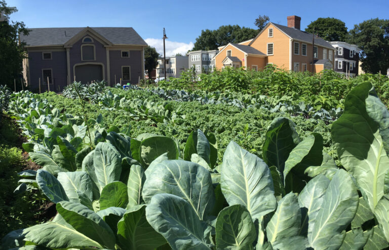 Fowler Clark Epstein Urban Farm