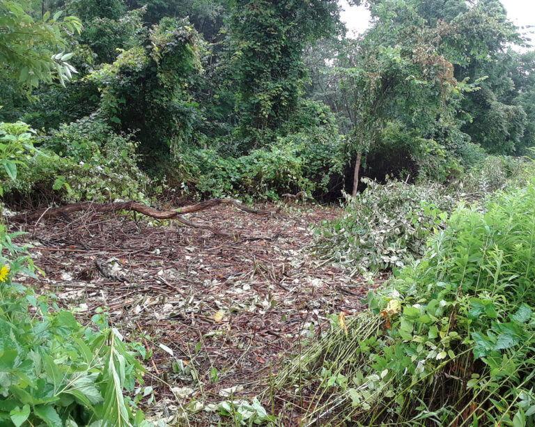 Productive Conservation at Grow Food Northampton