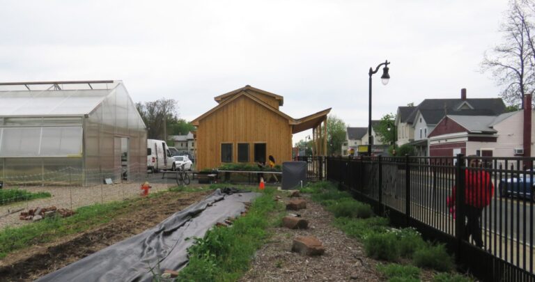 Gardening the Community Urban Farm
