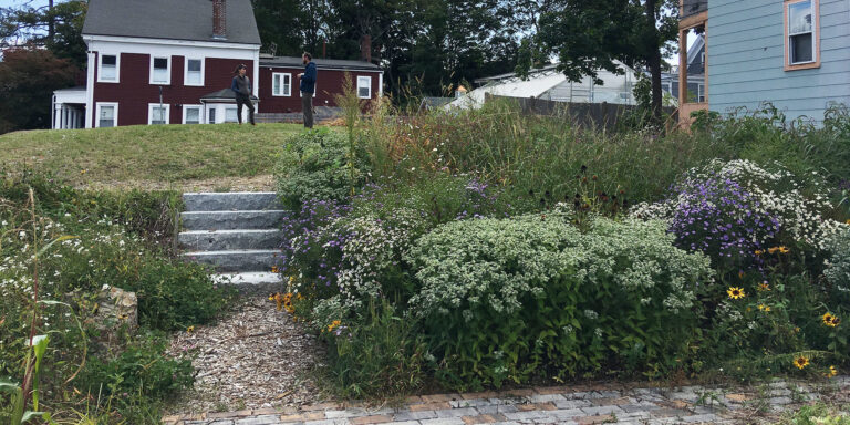 Tommy’s Rock Urban Farm