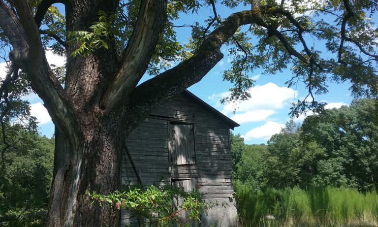 Triangle Land Conservancy Agricultural Plan