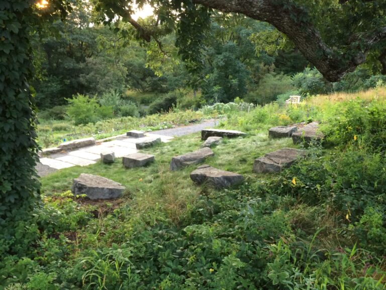 Wellesley Forest Garden