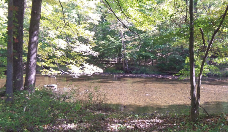Family Farm Comprehensive Site Plan
