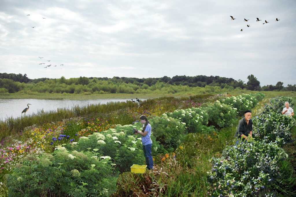 Three people tend to lush green plants and flowers in a vibrant field near a calm lake, with birds flying and a heron standing by the water under a cloudy sky. Forested landscape is visible in the background.
