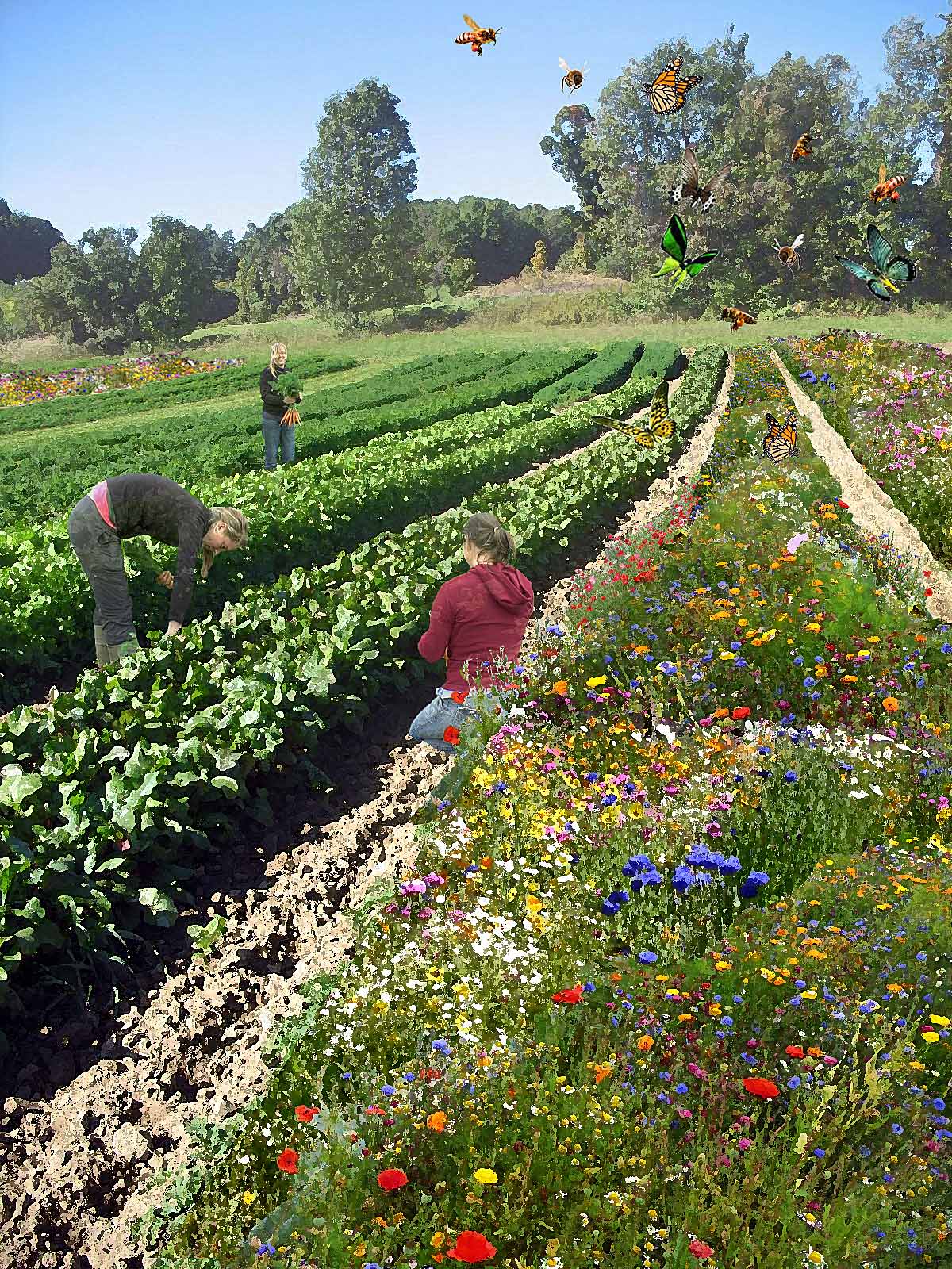 Three people work in a lush vegetable garden bordered by rows of colorful wildflowers, while butterflies and birds fly overhead under a bright, clear sky. Trees and greenery line the background.