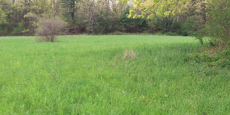 Farm Planning in New England