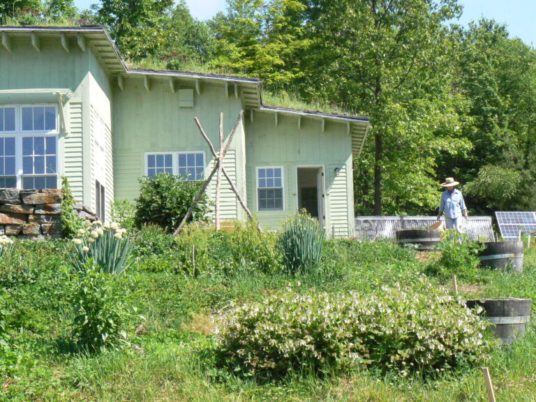 Wildside Cottage and Gardens