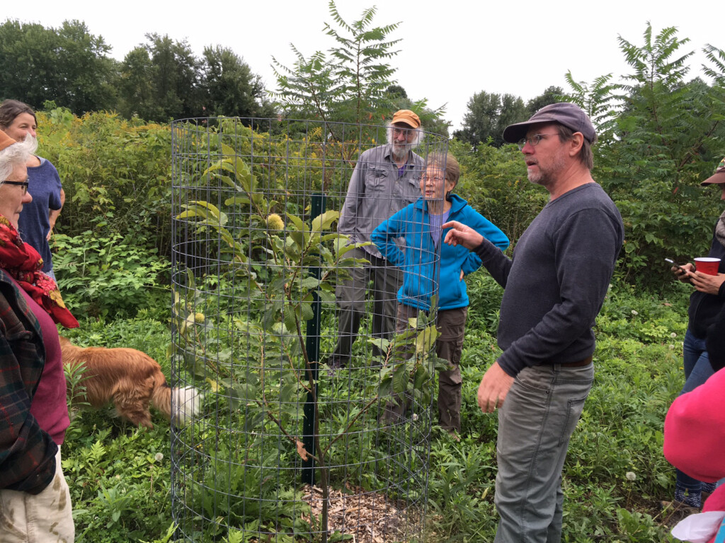Jono Neiger gives a tour of Big River Chestnuts.