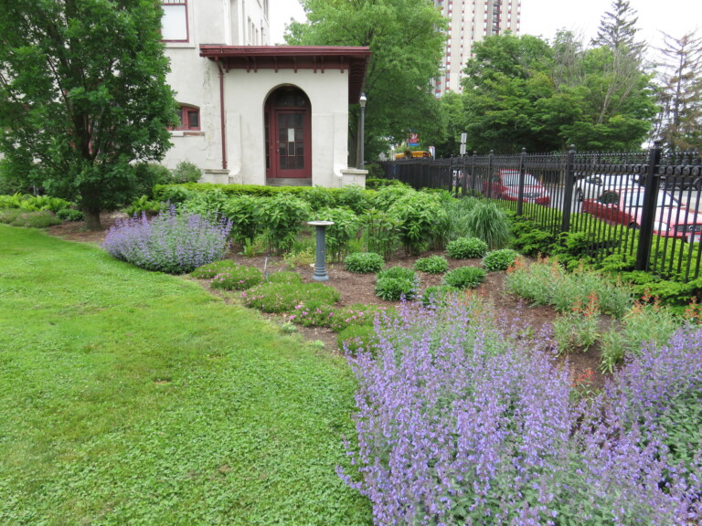 Springfield Rain Gardens